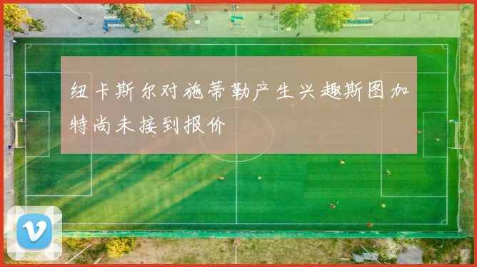 纽卡斯尔对施蒂勒产生兴趣斯图加特尚未接到报价